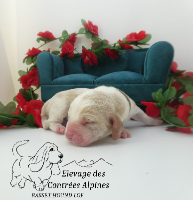 A'Winnie